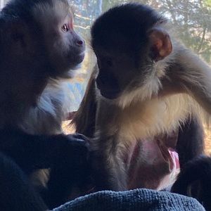 Meet your Posher, Nancy